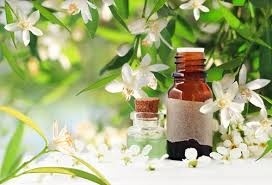MASSAGE JAPONAIS Lifting Visage ( 5 Seances )